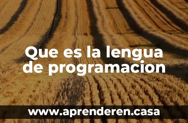 Que es la lengua de programacion