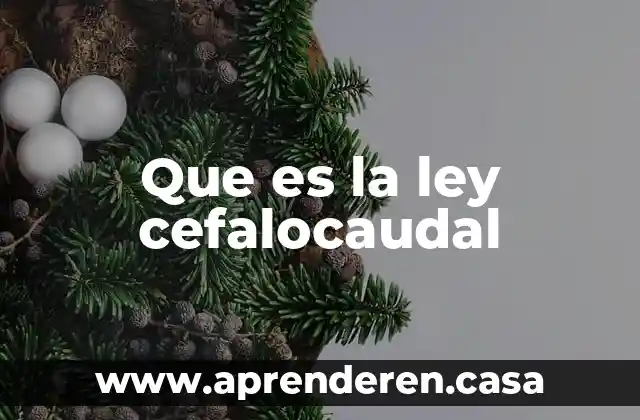 Que es la ley cefalocaudal