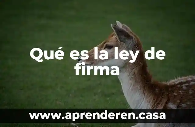 Qué es la ley de firma