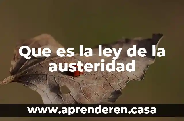 Que es la ley de la austeridad