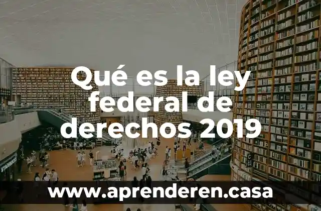 Que es perspectiva de genero derechos humanos 5 Qué es la ley federal de derechos 2019