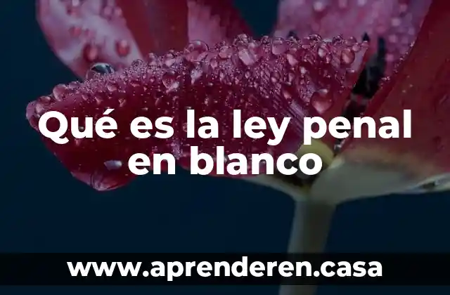 Qué es la ley penal en blanco