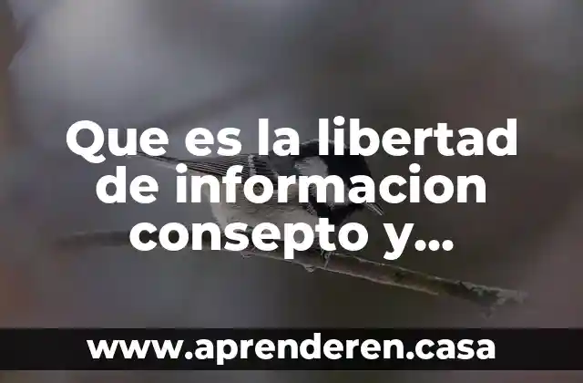 Que es la libertad de informacion consepto y definicion