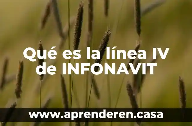 Qué es mejor un crédito INFONAVIT o hipotecario 3 Qué es la línea IV de INFONAVIT
