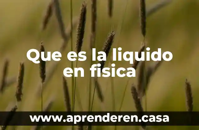 Que es la liquido en fisica