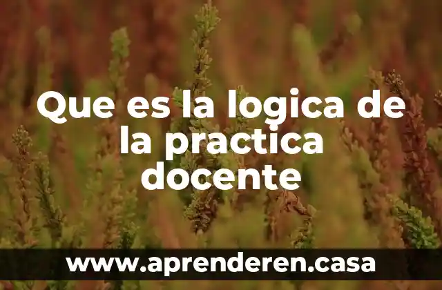 Que es la logica de la practica docente