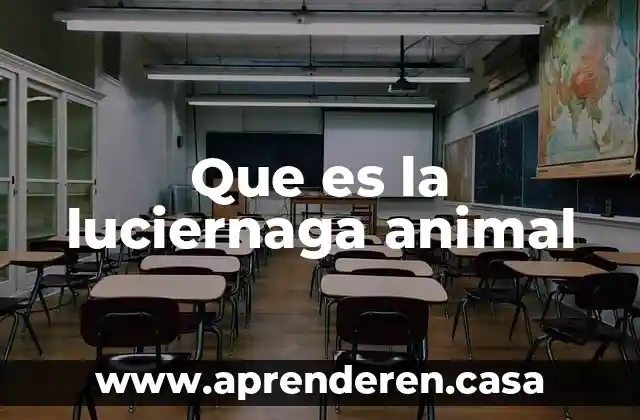Que es promiscuidad animal 4 Que es la luciernaga animal
