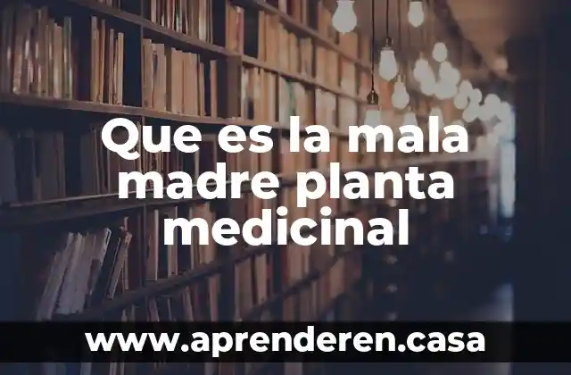 Que es dolo de mala fé en derecho 3 Que es la mala madre planta medicinal