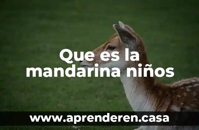 Que es la mandarina niños