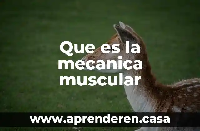 Qué es una chicharra mecánica 4 Que es la mecanica muscular
