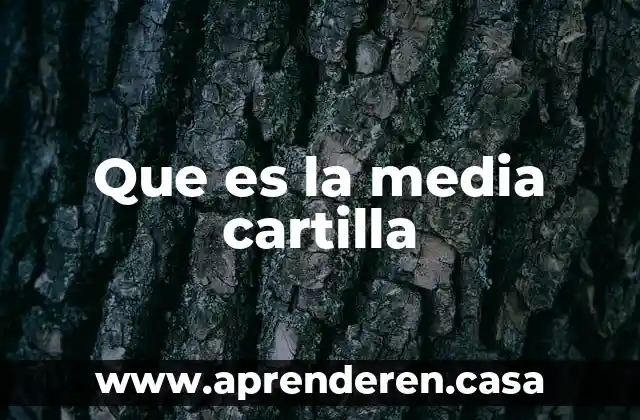 Cartilla del servicio militar nacional que es 3 Que es la media cartilla