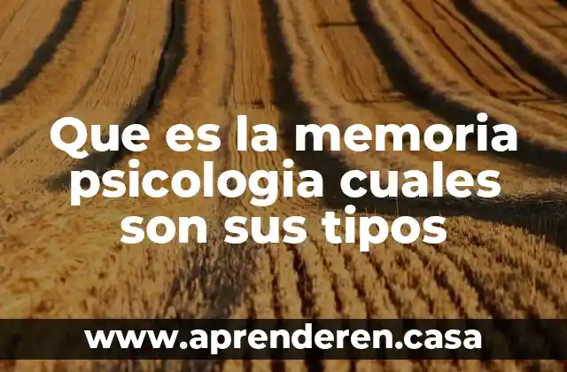 Que es la memoria psicologia cuales son sus tipos