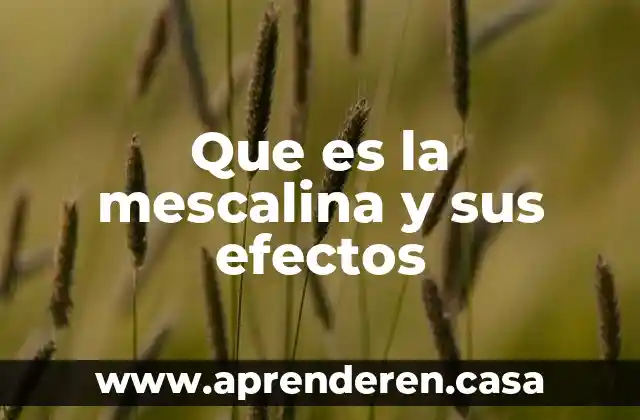 Que es la mescalina y sus efectos