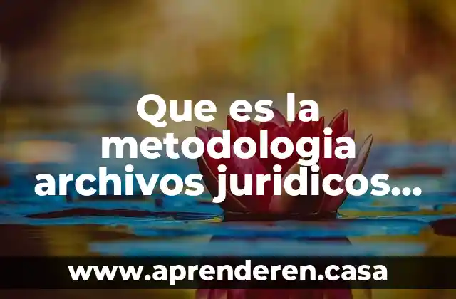 Que es la metodologia archivos juridicos unam