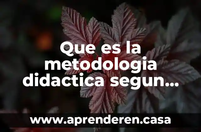 Que es la metodologia didactica segun autores