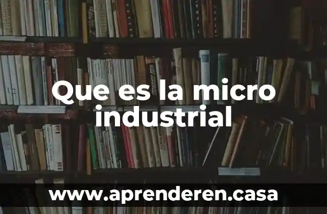 Ollas de cocina industrial que es 4 Que es la micro industrial