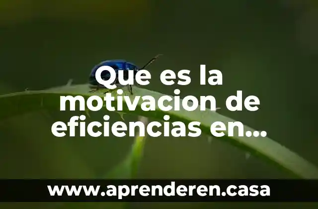 Que es la motivacion de eficiencias en psicologia educativa