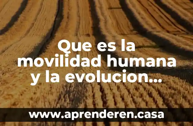 Que es estratificacion y movilidad social 4 Que es la movilidad humana y la evolucion humana