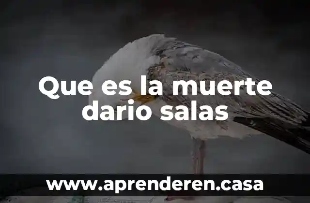 Que es la muerte dario salas