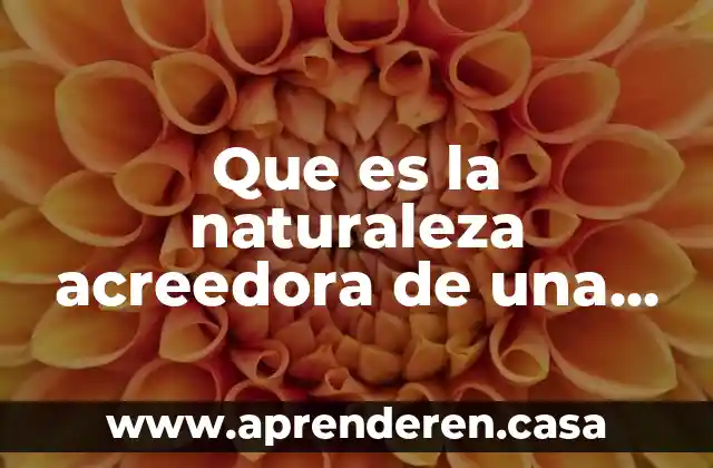 Que es la naturaleza acreedora de una cuenta en contabilidad