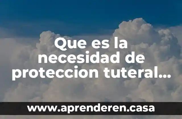 Qué es la palabra necesidad imper 3 Que es la necesidad de proteccion tuteral del trabajo