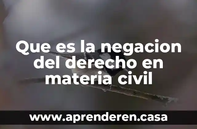 Que es la negacion del derecho en materia civil