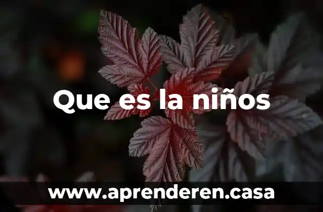 Que es la niños