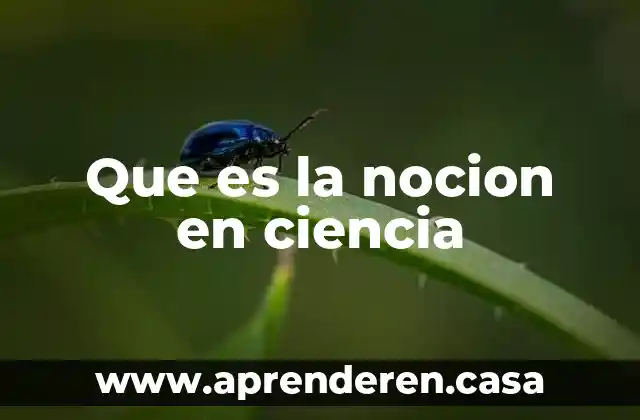 Que es masa en ciencia 3 Que es la nocion en ciencia