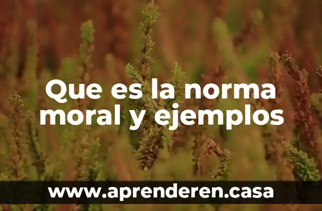 Que es la norma moral y ejemplos