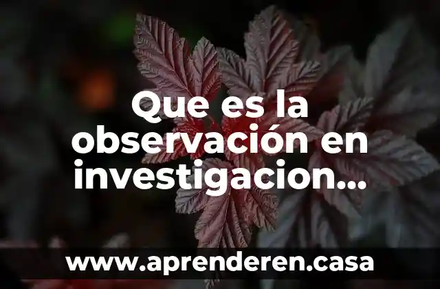 Que es la observación en investigacion caracteristicas