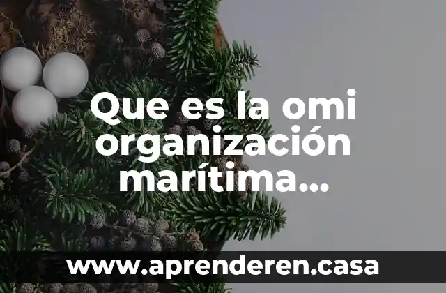 Que es la omi organización marítima internacional