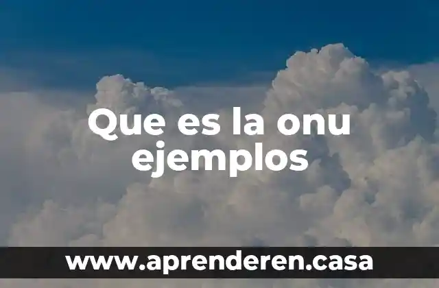Que es la onu ejemplos