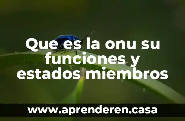 Que es la onu su funciones y estados miembros