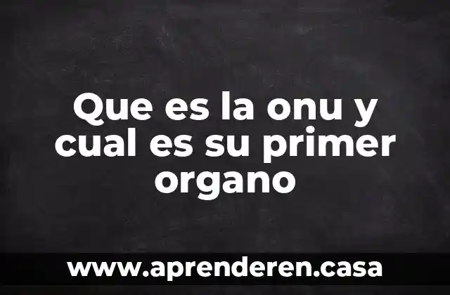 Que es la onu y cual es su primer organo