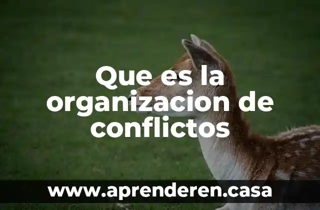 Que es la organizacion de conflictos