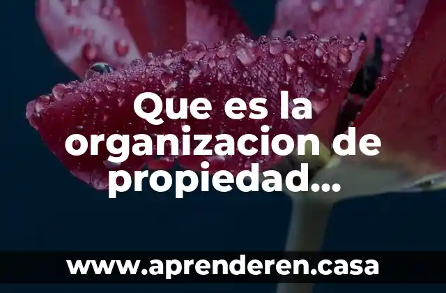 Que es la organizacion de propiedad intelectual