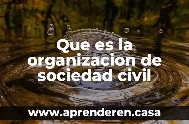 Que es la organizacion de sociedad civil