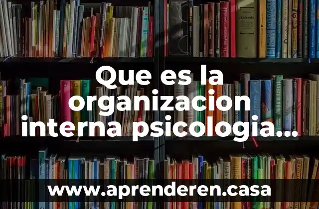 Que es la organizacion interna psicologia del aprendizaje