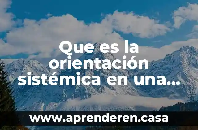 Que es la orientación sistémica en una sola frase