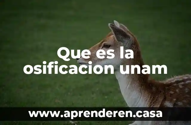 Que es un isomero unam 4 Que es la osificacion unam