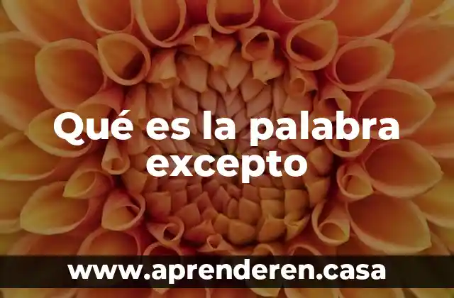 Qué es la palabra excepto