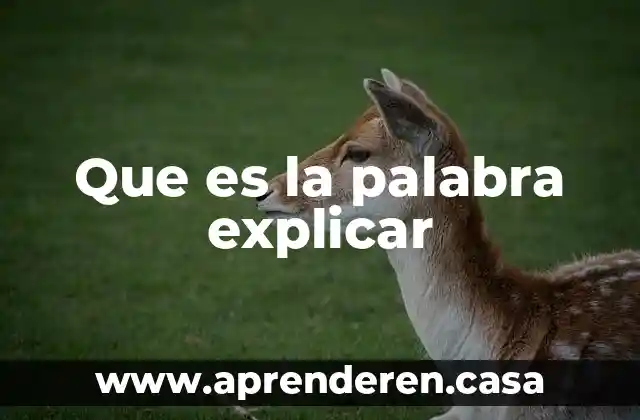 Que es la palabra explicar