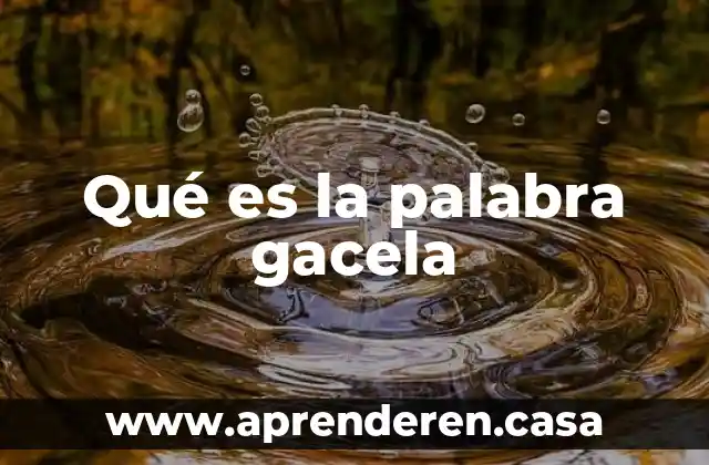 ¿Qué es la palabra socio? 5 Qué es la palabra gacela