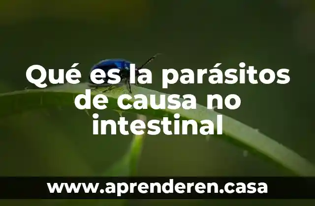 Qué es la parásitos de causa no intestinal