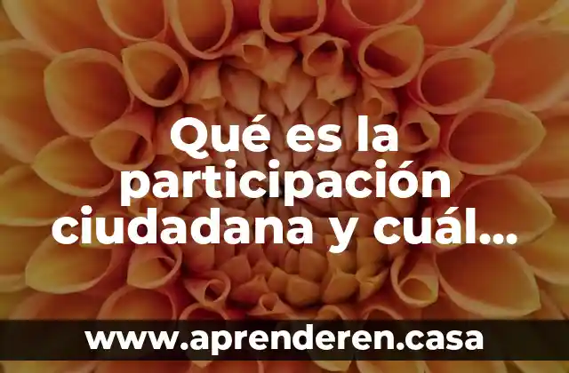 Qué es la participación ciudadana y cuál es su importancia