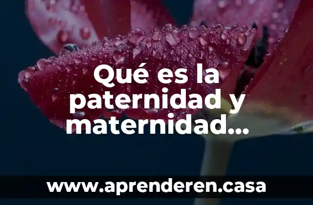 Qué es la paternidad y maternidad definición