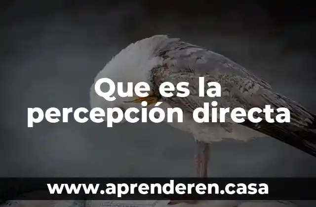 Que es la percepción directa