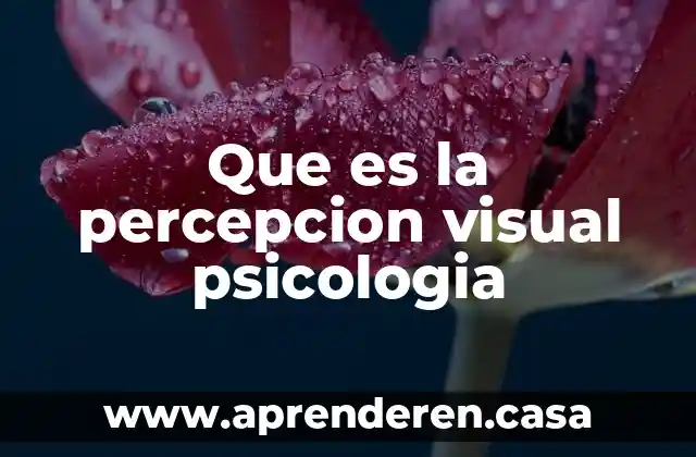 Que es la percepcion visual psicologia