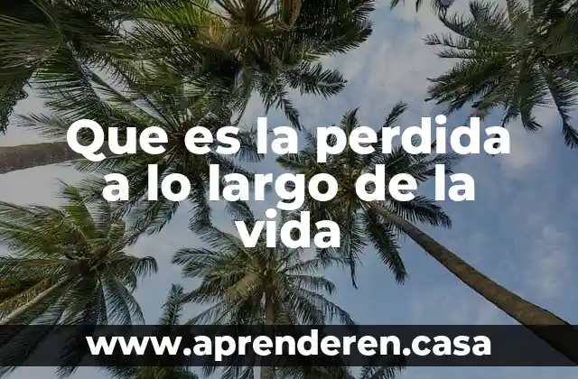 Que es la vida intratrinitaria 4 Que es la perdida a lo largo de la vida
