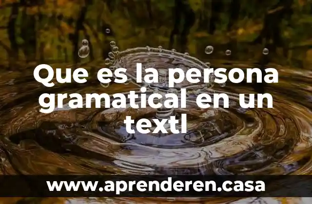 Que es la persona gramatical en un textl